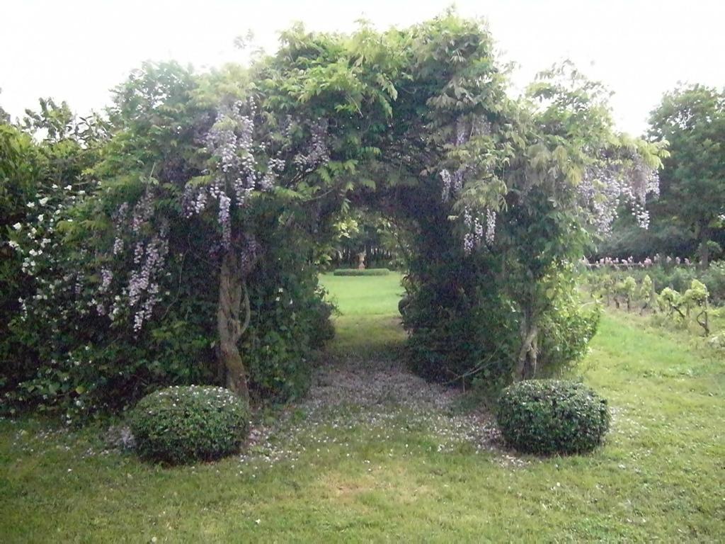 La Maynade Loubens-Lauragais Quarto foto